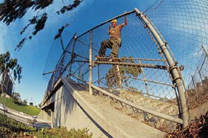 skate14.jpg